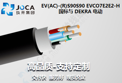 國標與 DEKRA 電動